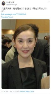八重沢真美の写真
