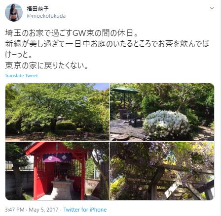 福田萌子と埼玉の家