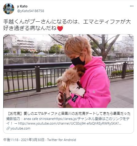 手越祐也の写真2