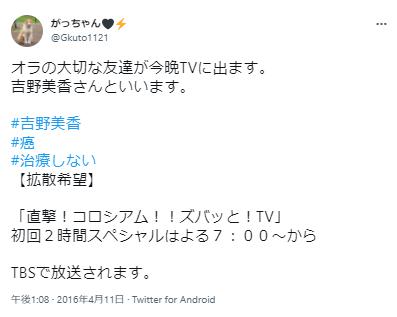 吉野美佳の間違いツイート