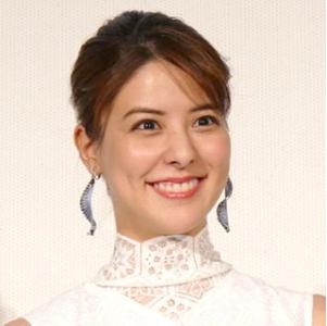 藤井美菜の写真