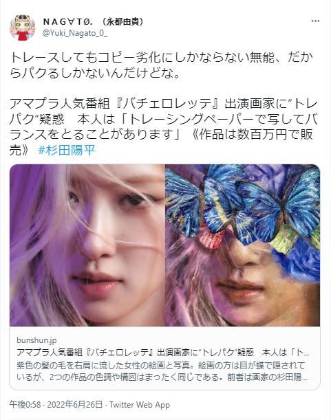 杉田陽平のパクリ疑惑