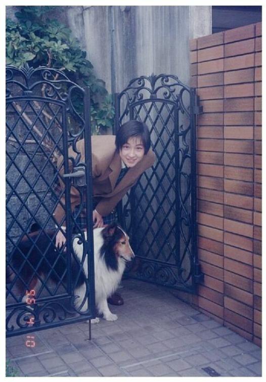 広末涼子と犬