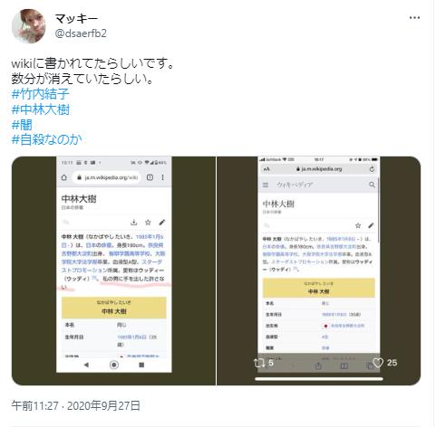 中林大樹の不可解なWiki記述に関する投稿