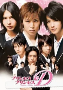 プリンセス・プリンセスDのジャケット写真