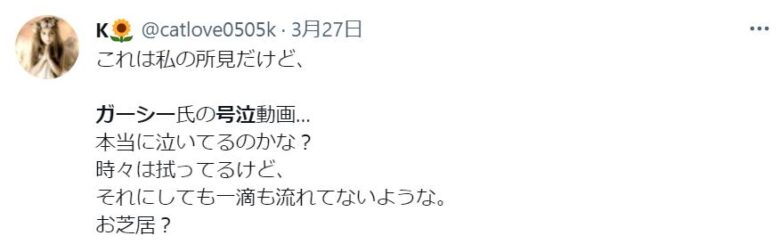 ガーシー号泣に関するツイート３