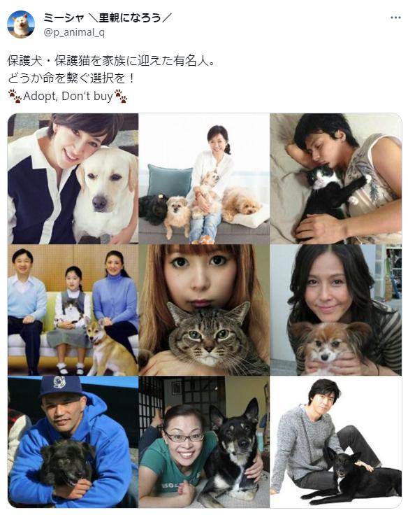 保護犬、保護家猫を家族に招いた有名人一覧の画像