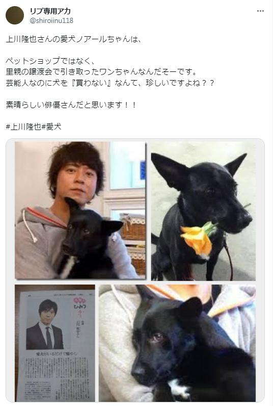上川隆也の愛犬「ノワール」の写真
