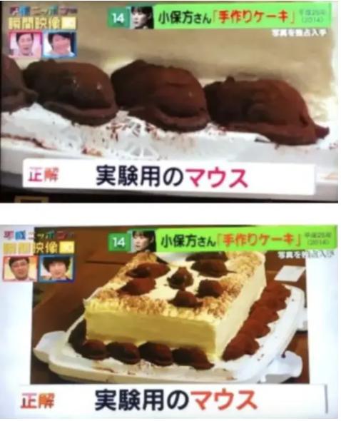 obokataharuko-cake