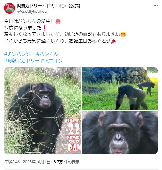 パンくんの画像