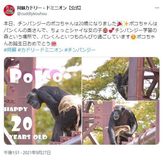 ポコちゃんの画像