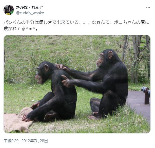 パンくんとポコちゃん